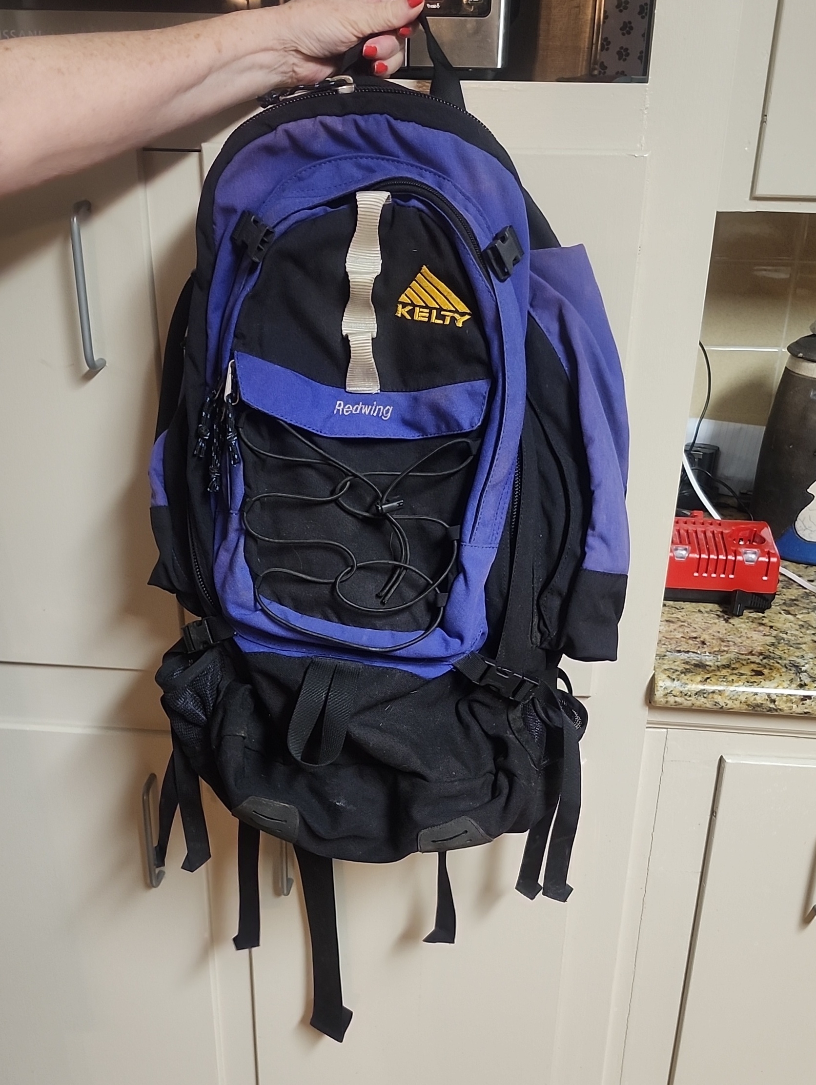 Kelty Redwing Purple And Black Backpack
